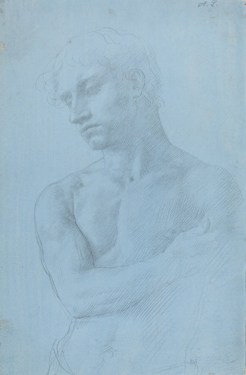 Busta nahého muže. od Alphonse Legros