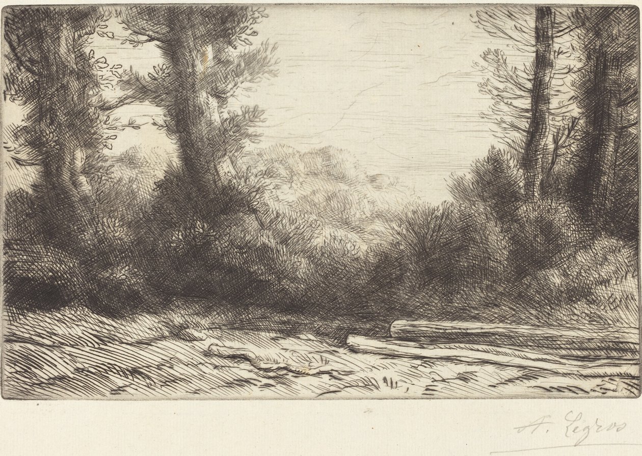 Hrana lesa (Lisiere de bois) od Alphonse Legros