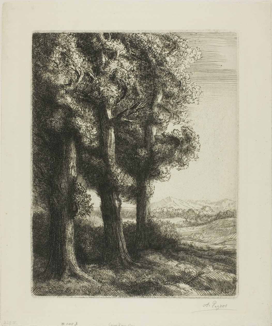 Hrana dřeva od Alphonse Legros