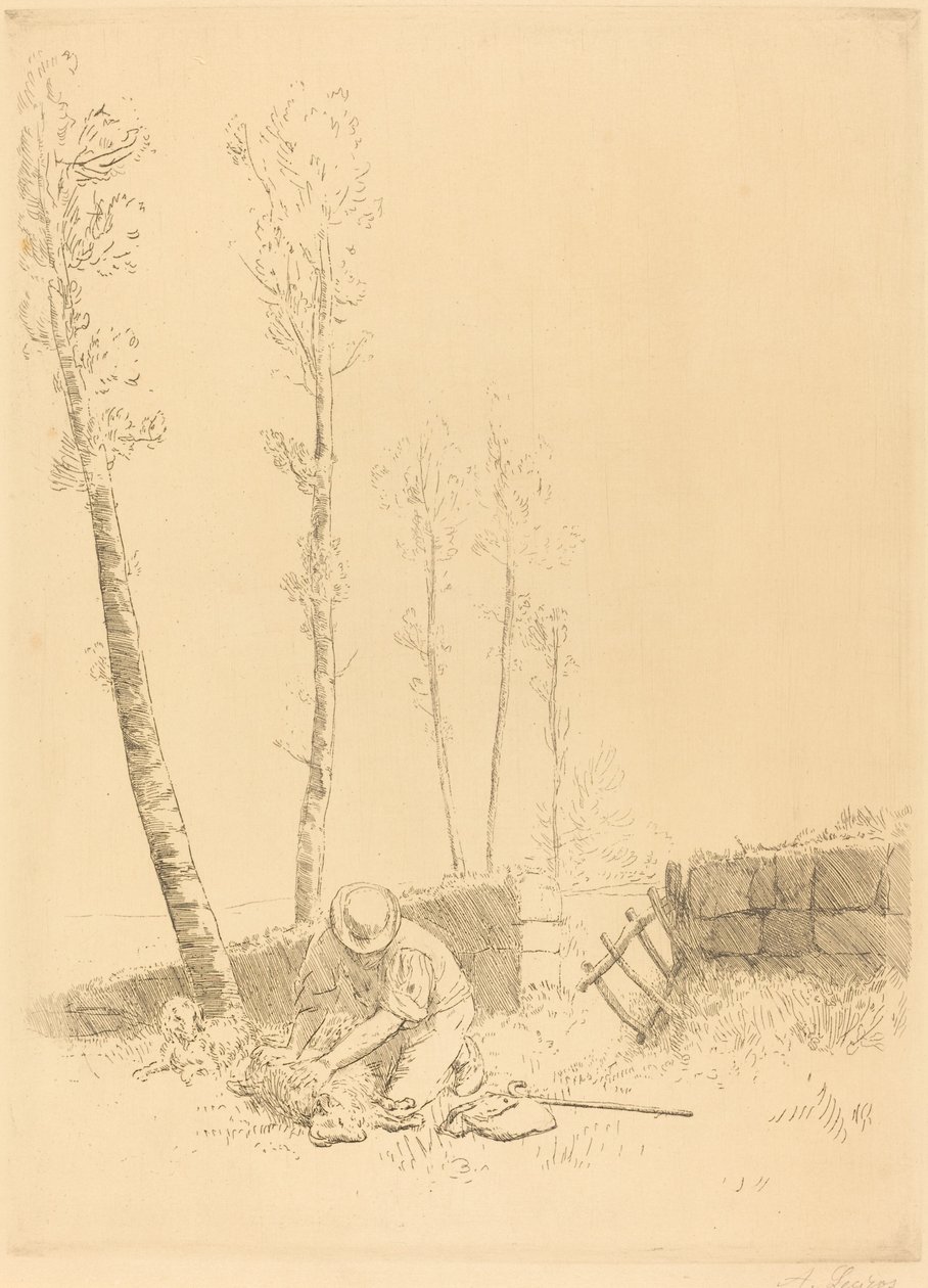 Hledání retrouve Sheep Le mouton. od Alphonse Legros