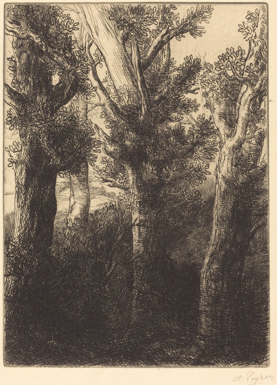 Německý les, Downley. od Alphonse Legros