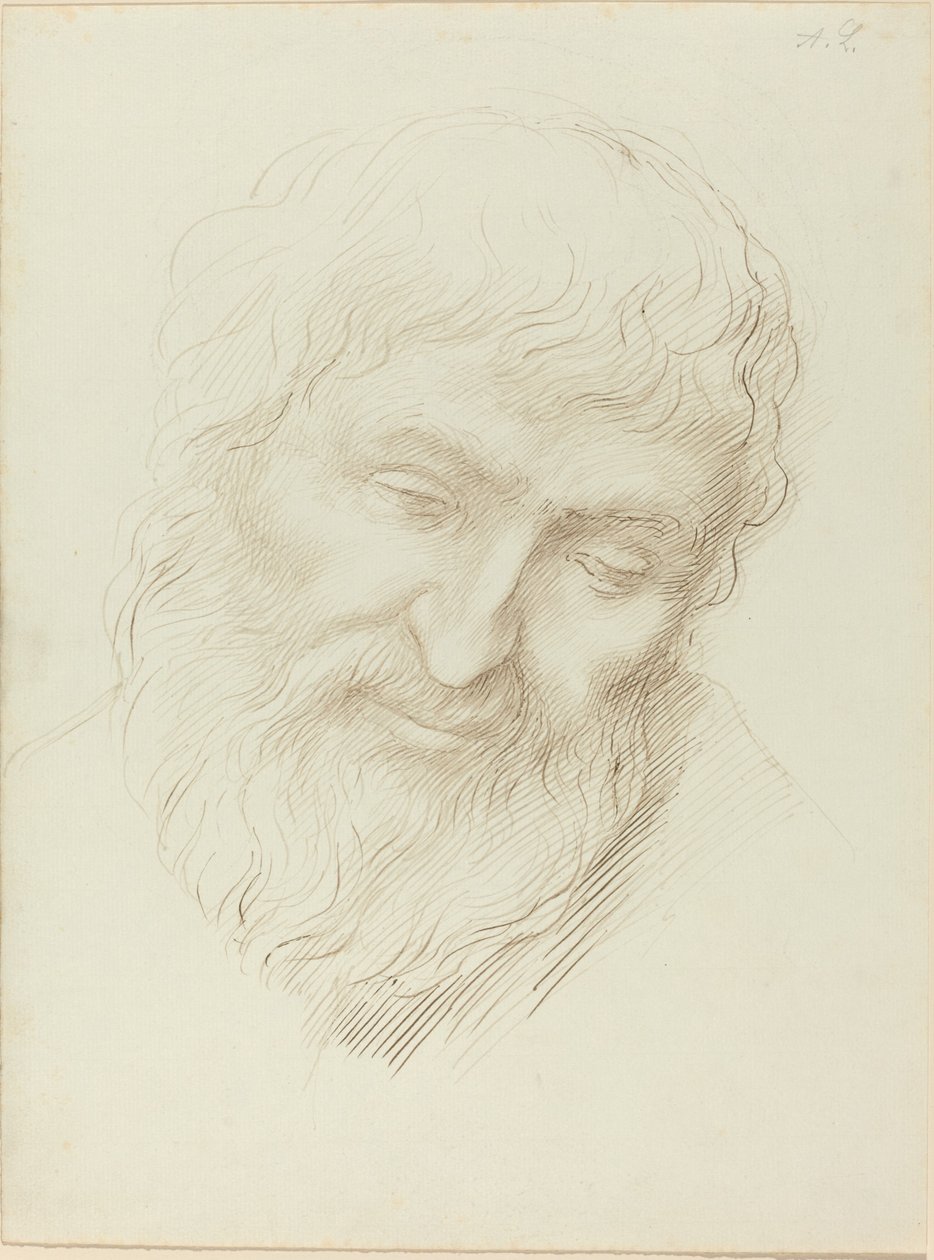 Hlava muže. od Alphonse Legros