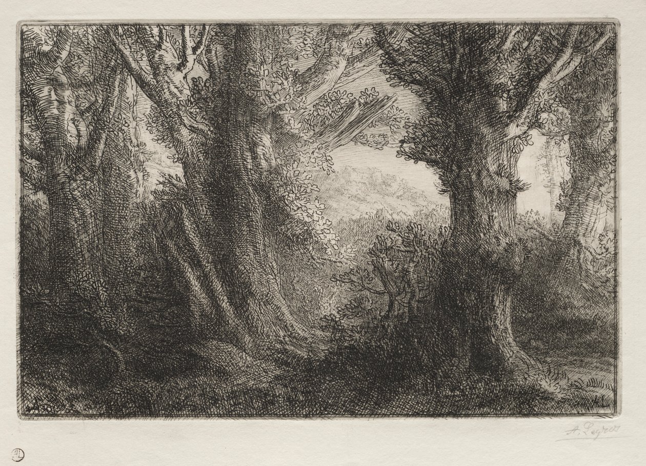 V lese v Conteville. od Alphonse Legros