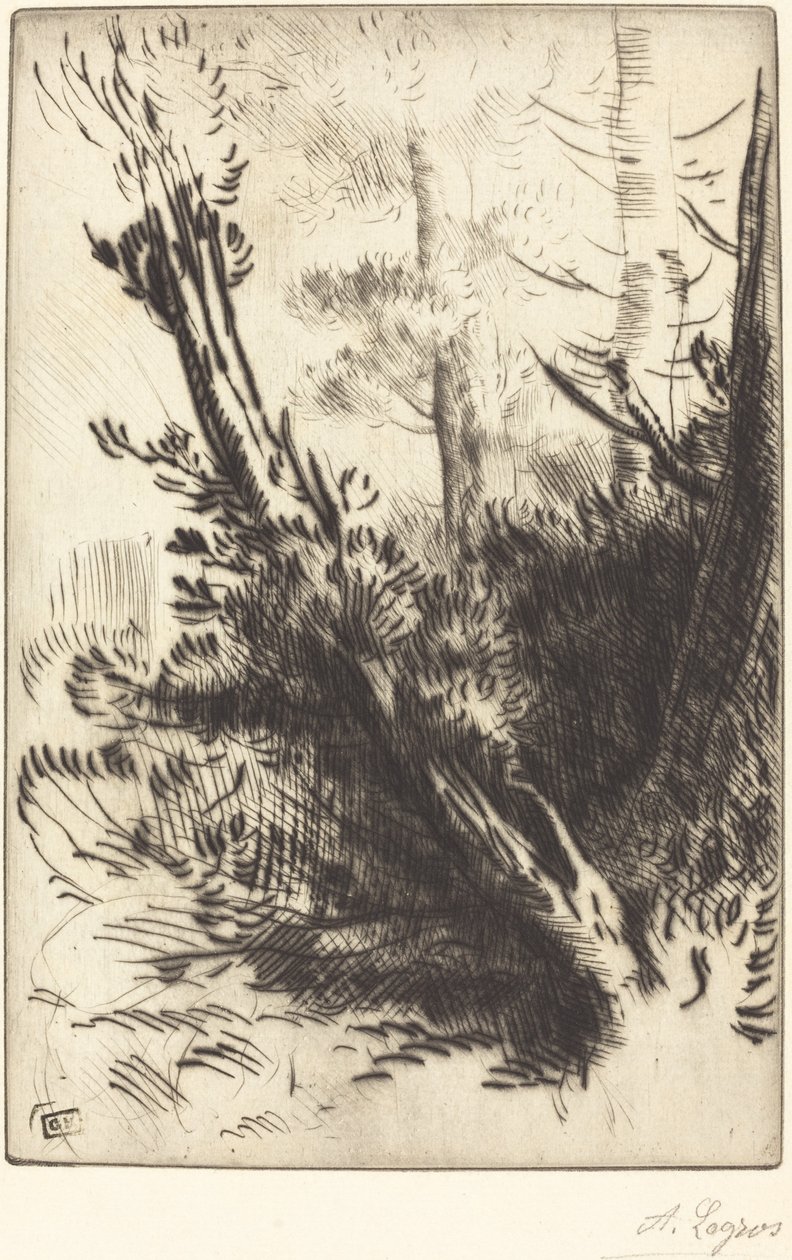 V lesích od Alphonse Legros