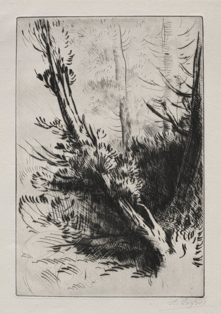 V lesích. od Alphonse Legros