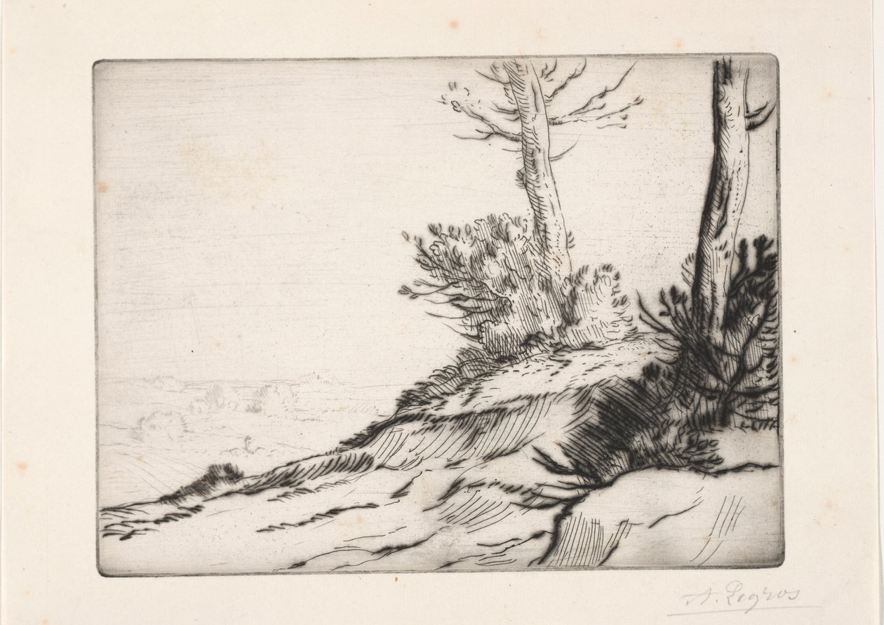 Kopec kartáčů. od Alphonse Legros