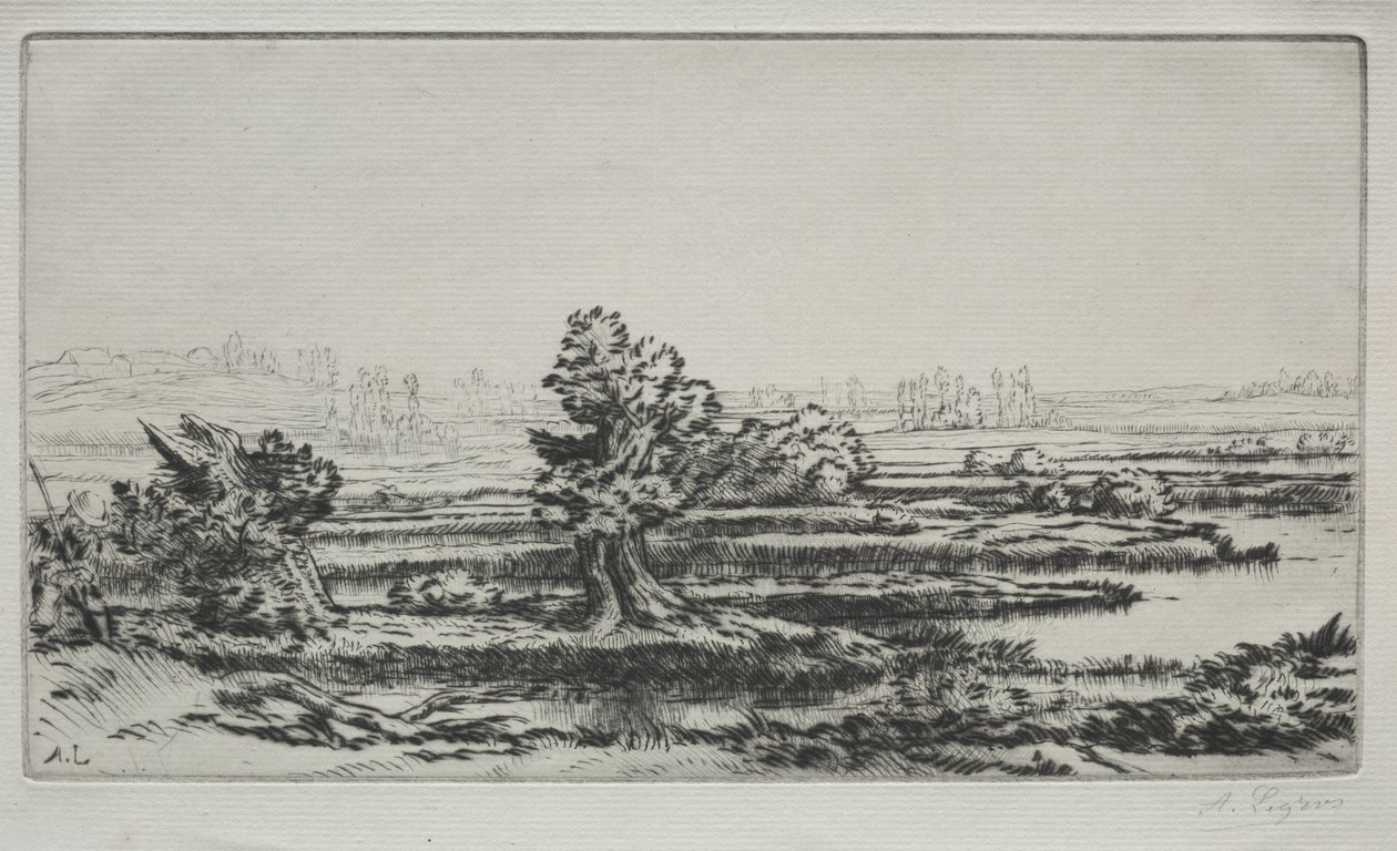Krajina od Alphonse Legros