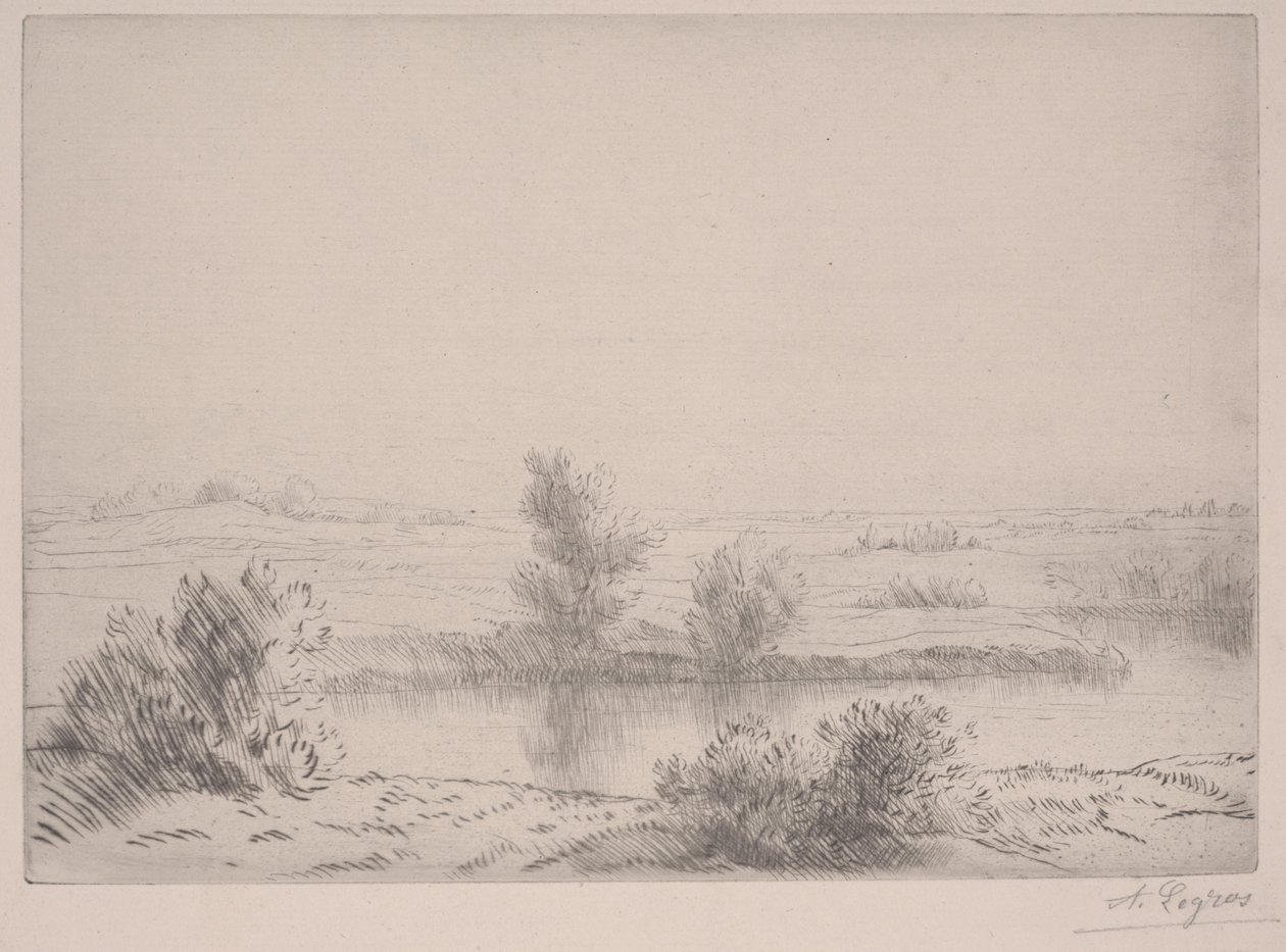 The Swamps (lept) od Alphonse Legros