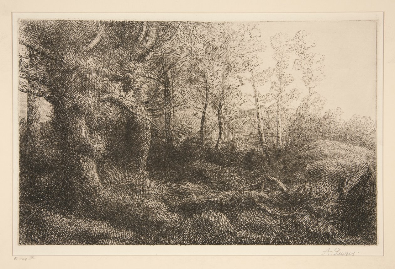 okraj lesa od Alphonse Legros
