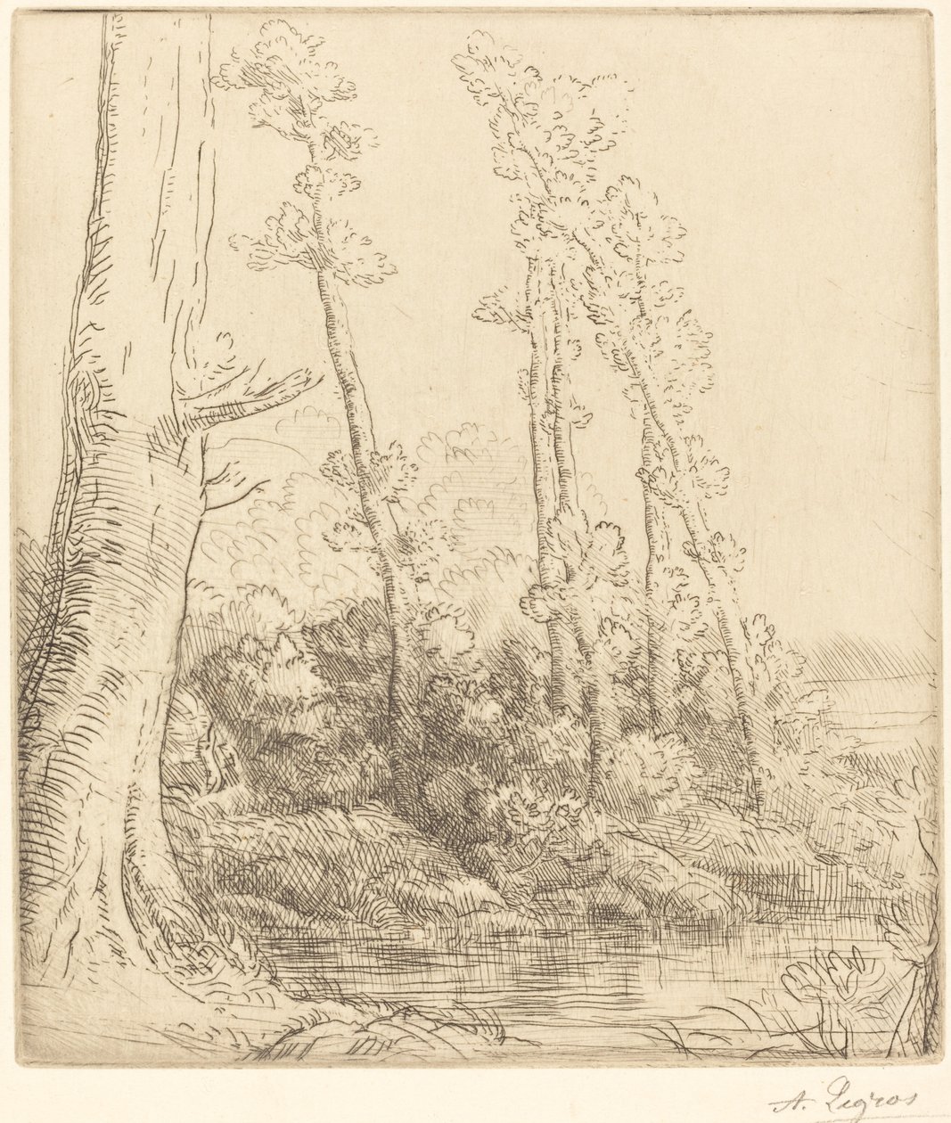 Little Pond La petite mare. od Alphonse Legros