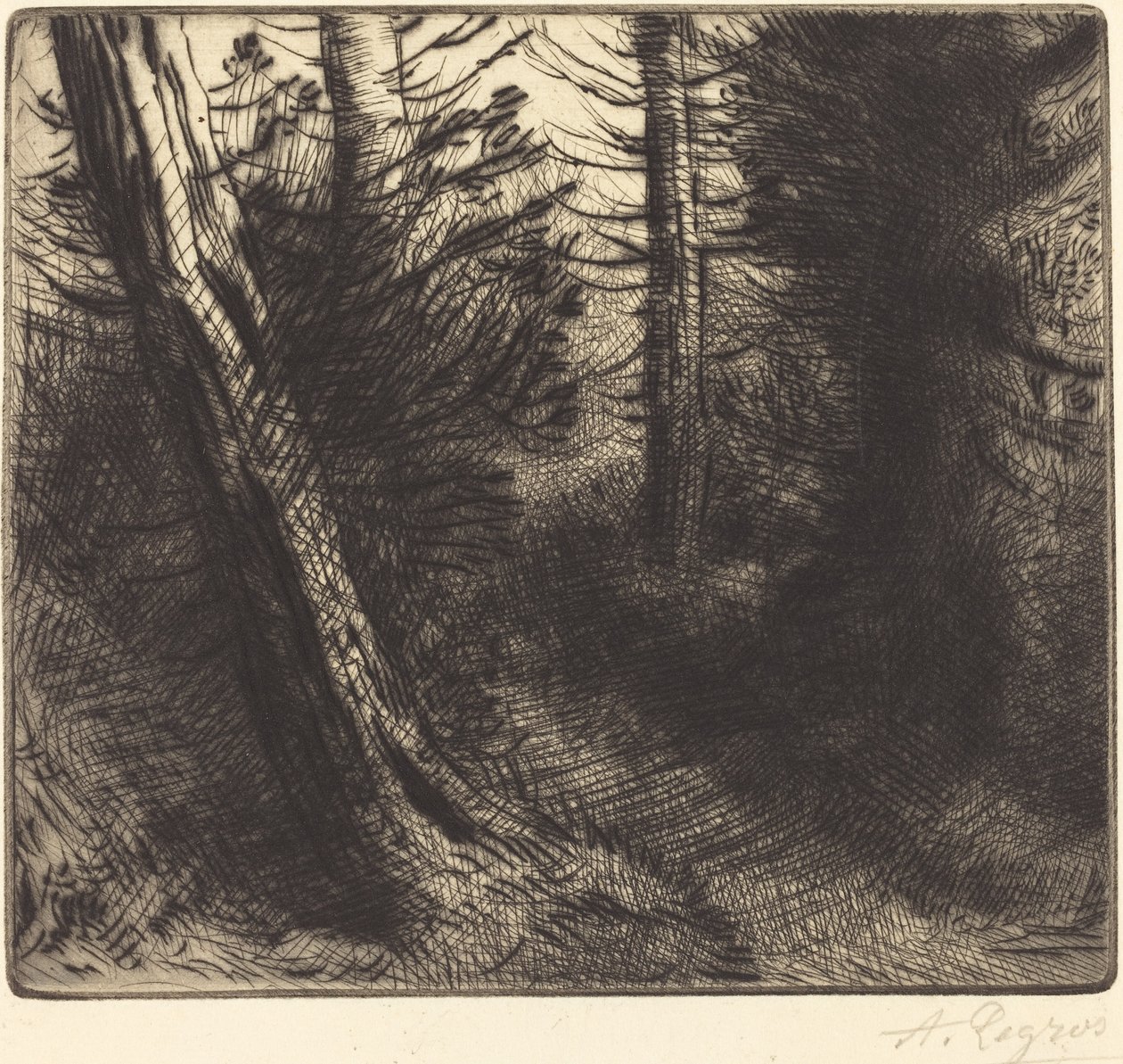 Cesta lesem Cesta lesem. od Alphonse Legros