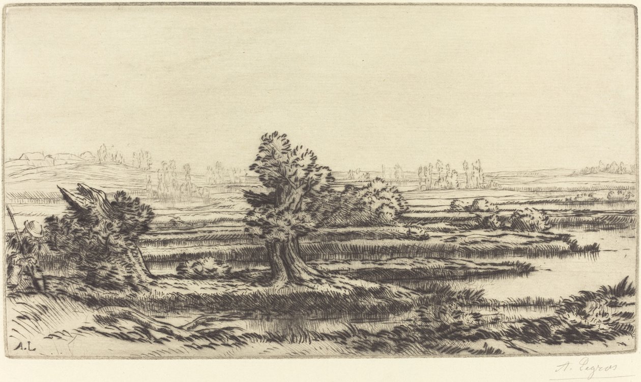 Rašeliniště (Les Tourbieres) od Alphonse Legros