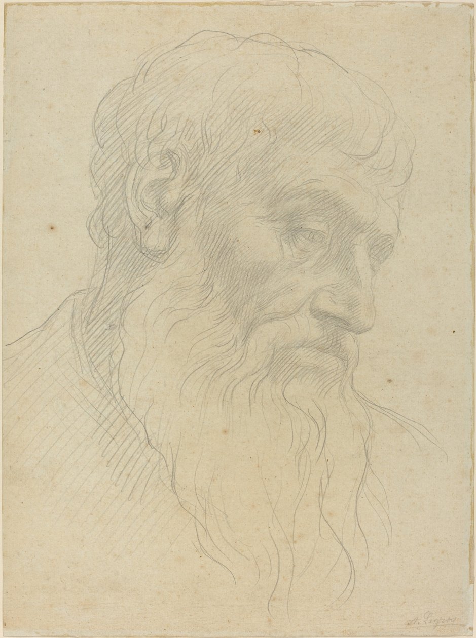 Studie hlavy. od Alphonse Legros