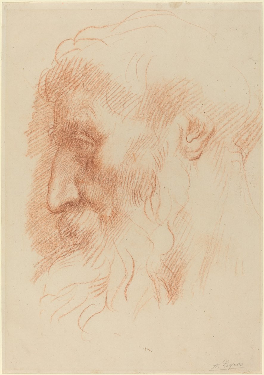 Studie mužské hlavy [recto] od Alphonse Legros