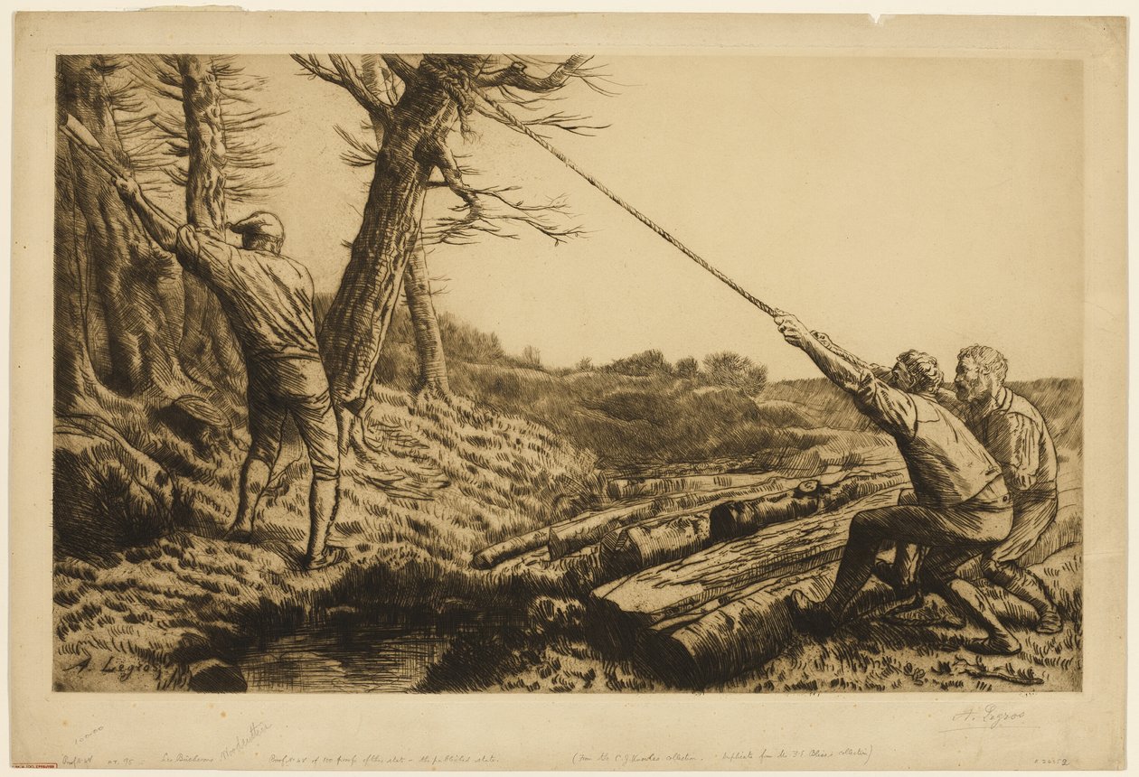 LumberJacks, druhá deska od Alphonse Legros