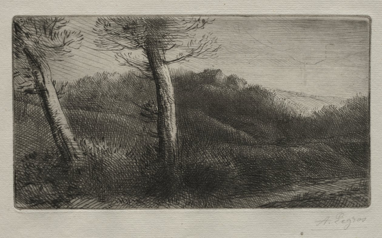 Cestovatel se natáhl na trávu od Alphonse Legros