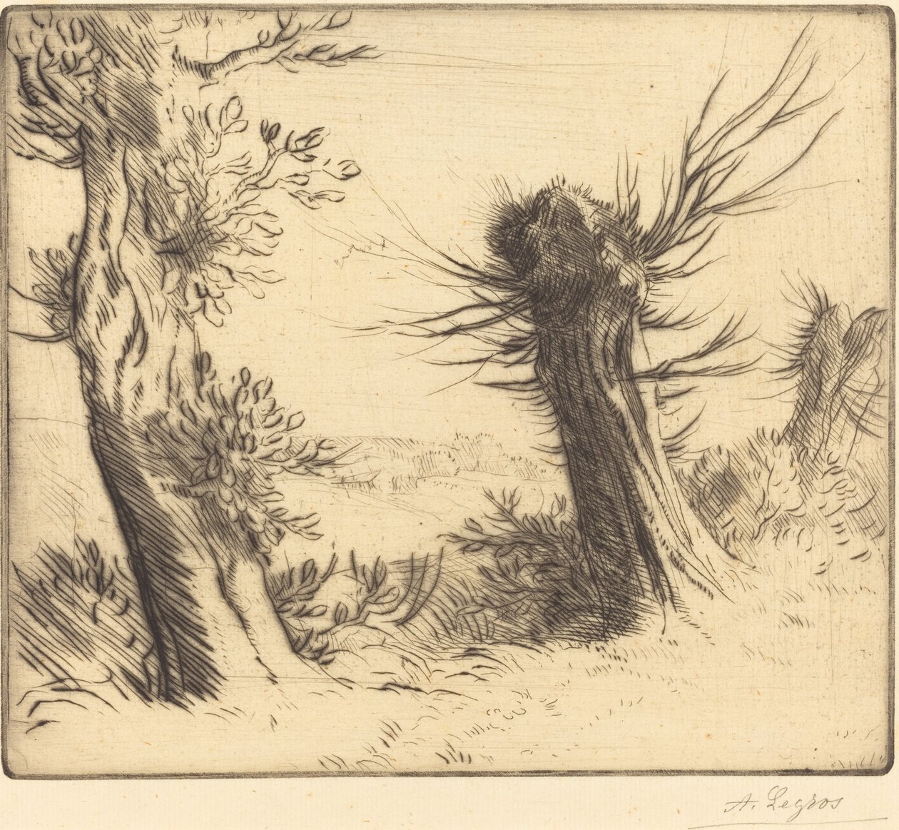 Willows Les saules. od Alphonse Legros
