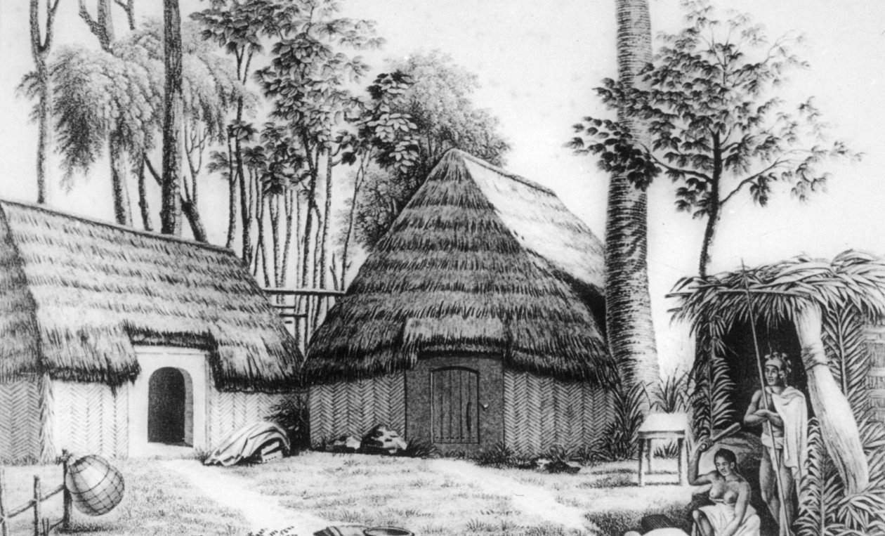 Dům náčelníka, Kalaimoku, 1819. od Alphonse Pellion