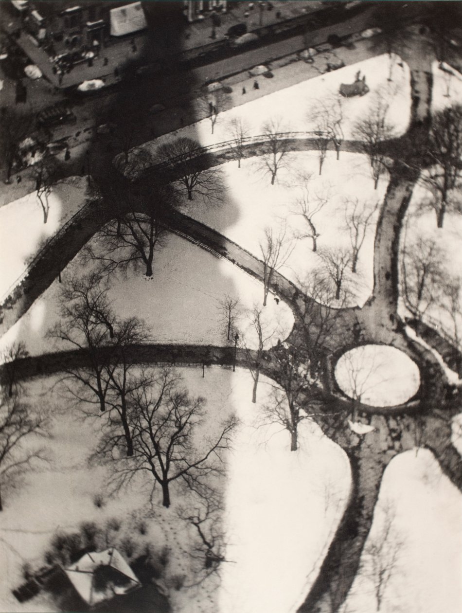 Octopus, New York od Alvin Langdon Coburn