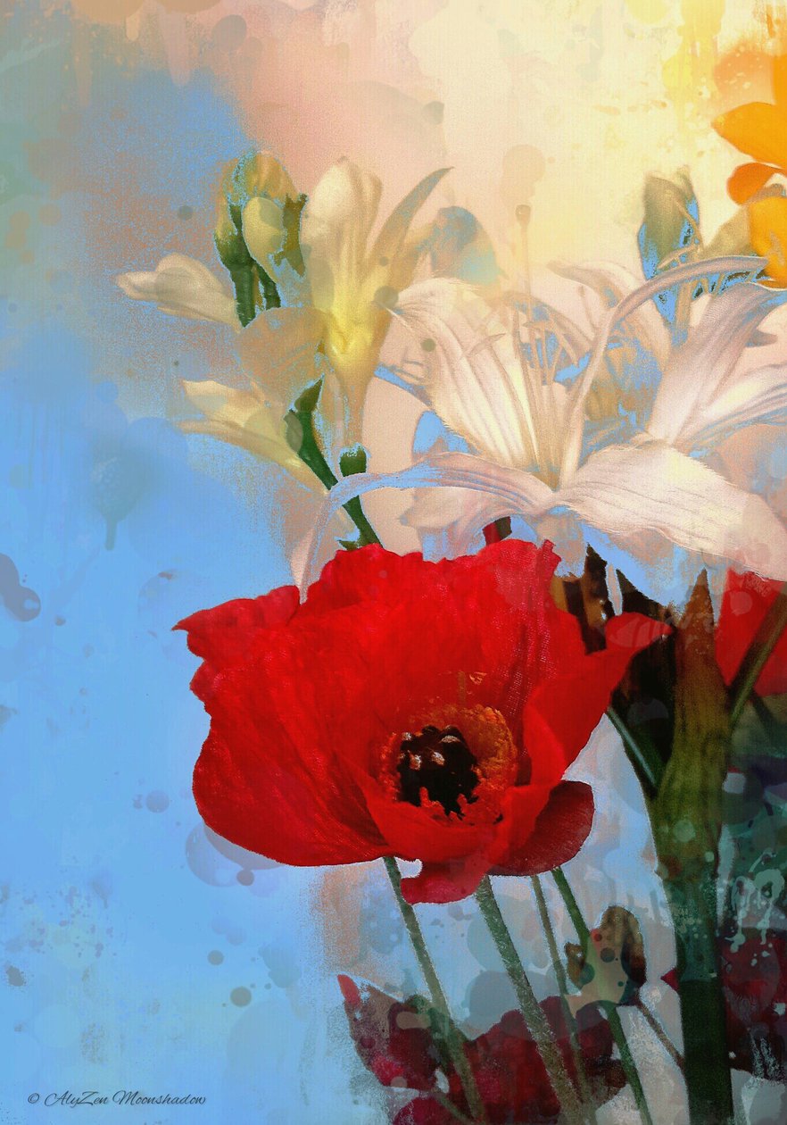 Poppy on blue, 2014, (digitální kombinovaná fonografie) od AlyZen Moonshadow
