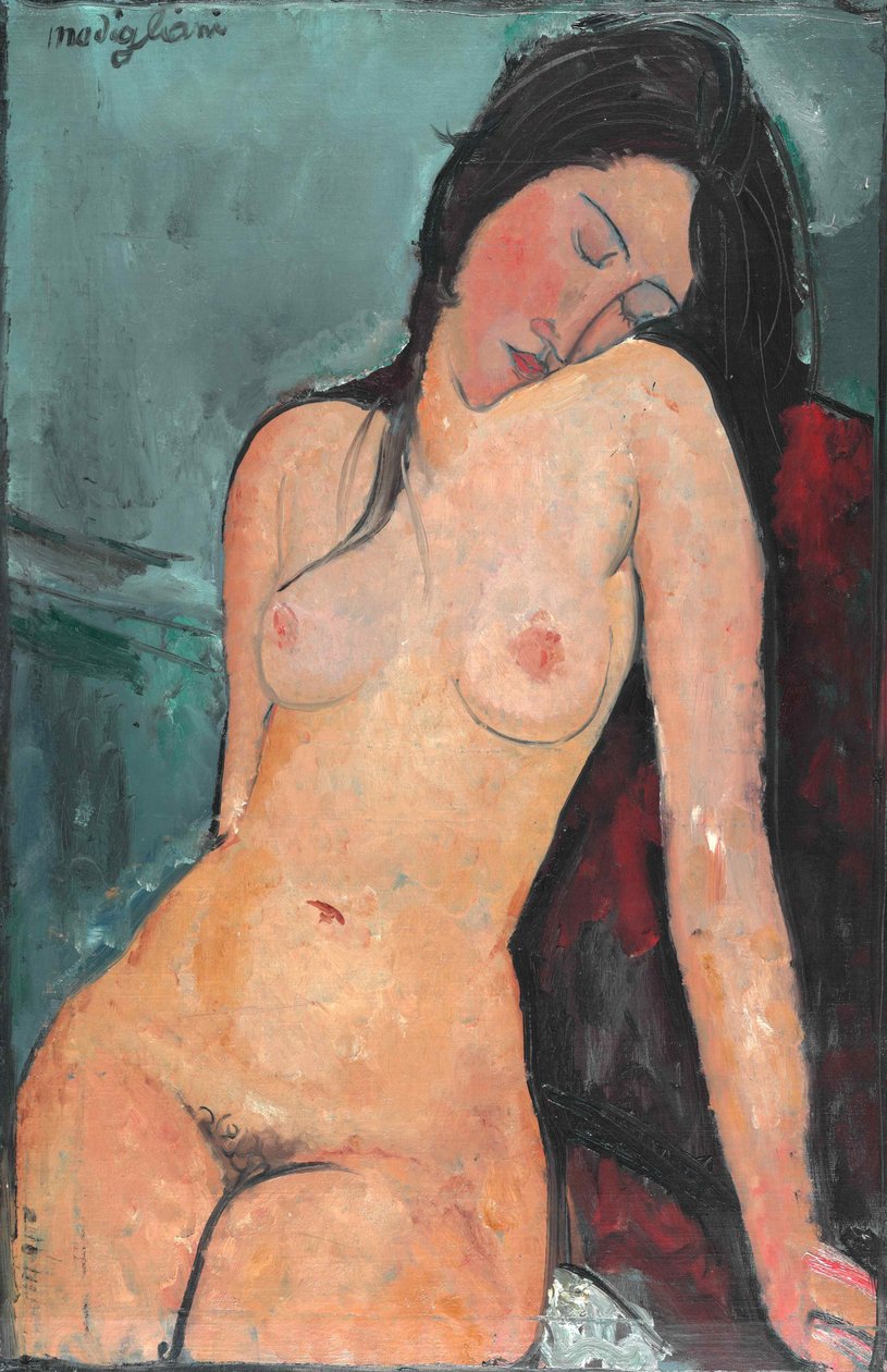 Ženský akt, c. 1916. od Amedeo Modigliani