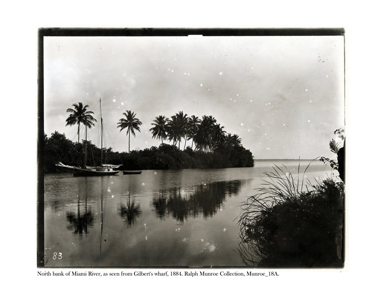 Severní břeh řeky Miami, jak je vidět z Ghilberts Wharf, 1884 od American Photographer
