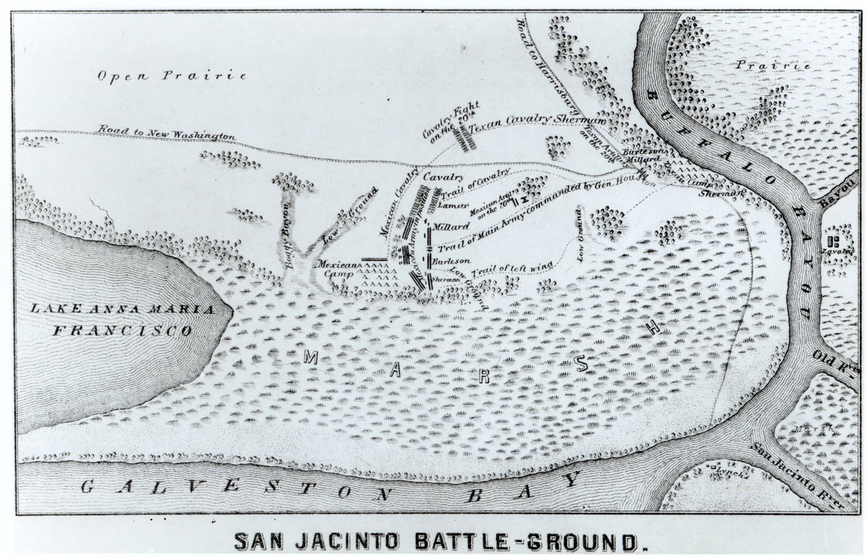 Půdorys bitvy u San Jacinto od American School