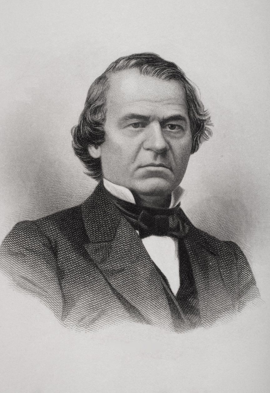 Portrét Andrewa Johnsona (1808-75) od American School