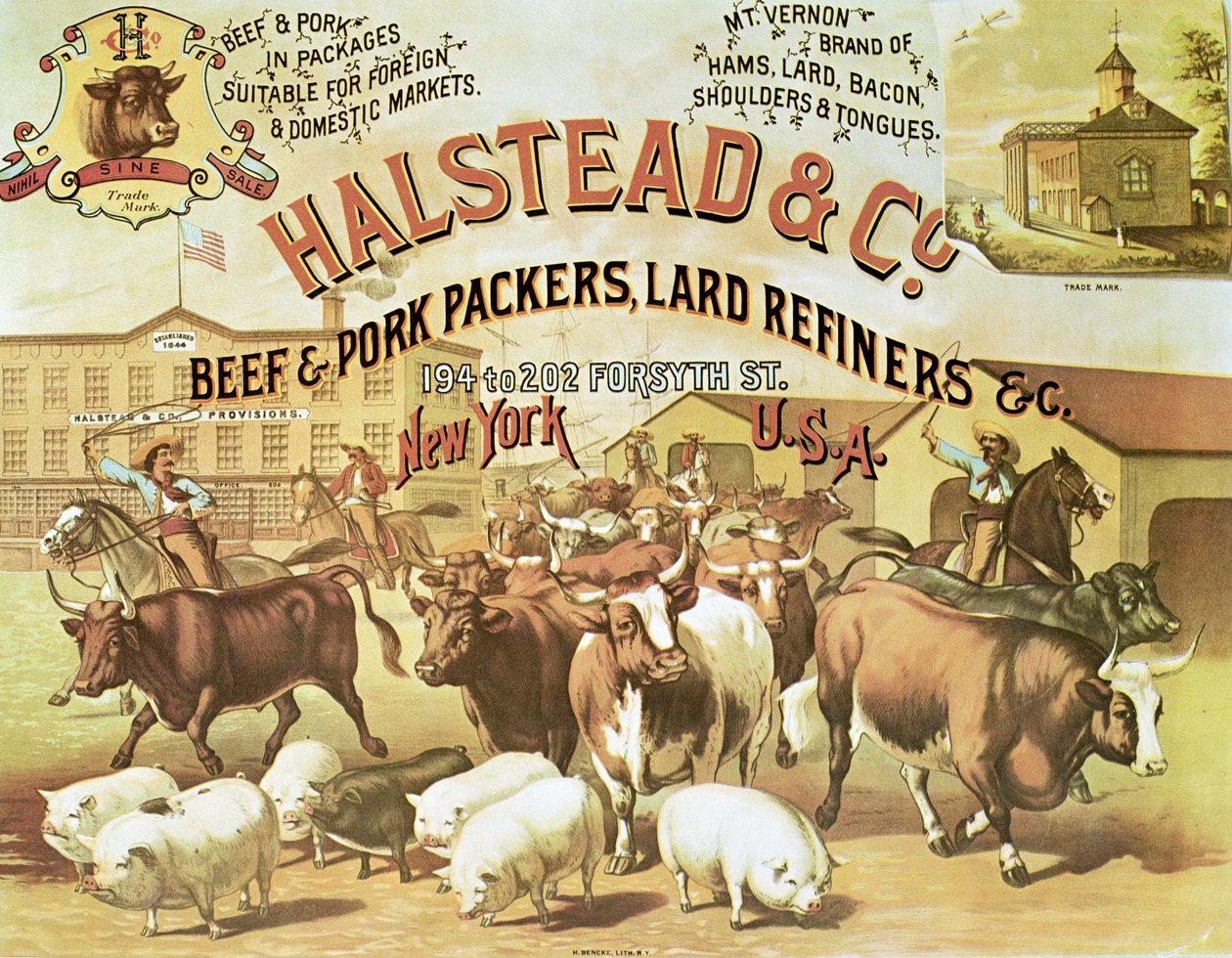Beef & Pork Packers, cca 1880 (barevné lito) od American Photographer