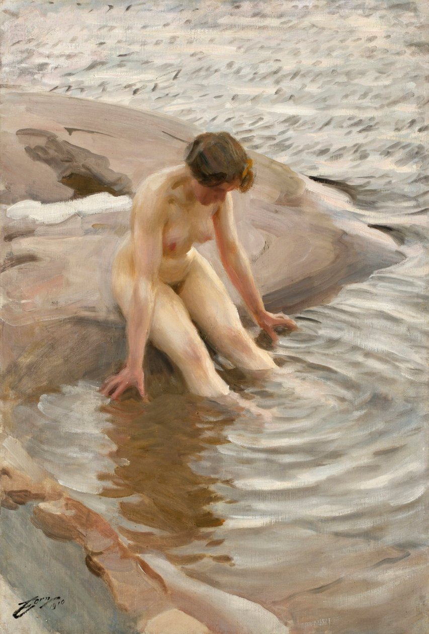 Mokrý od Anders Leonard Zorn