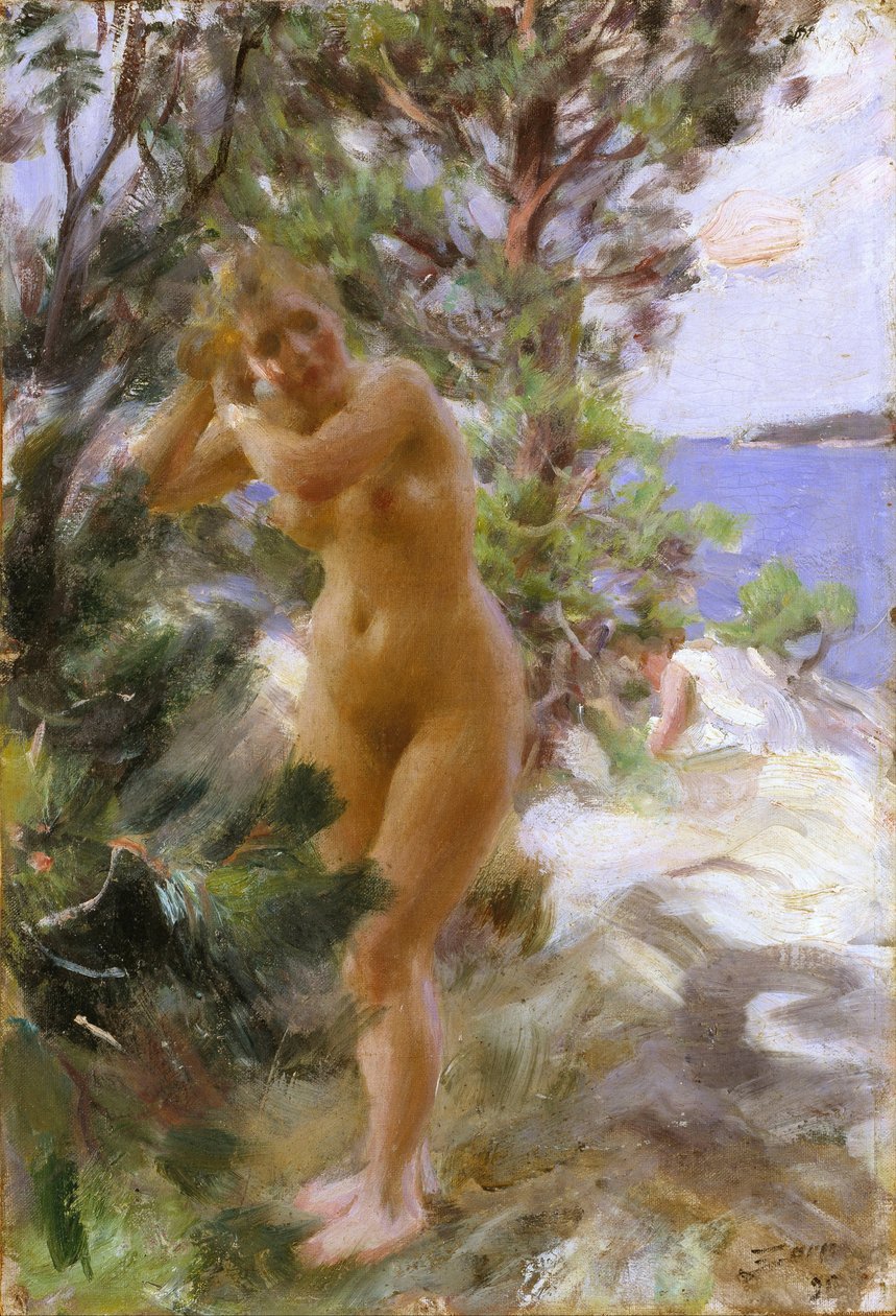 Po koupeli od Anders Leonard Zorn