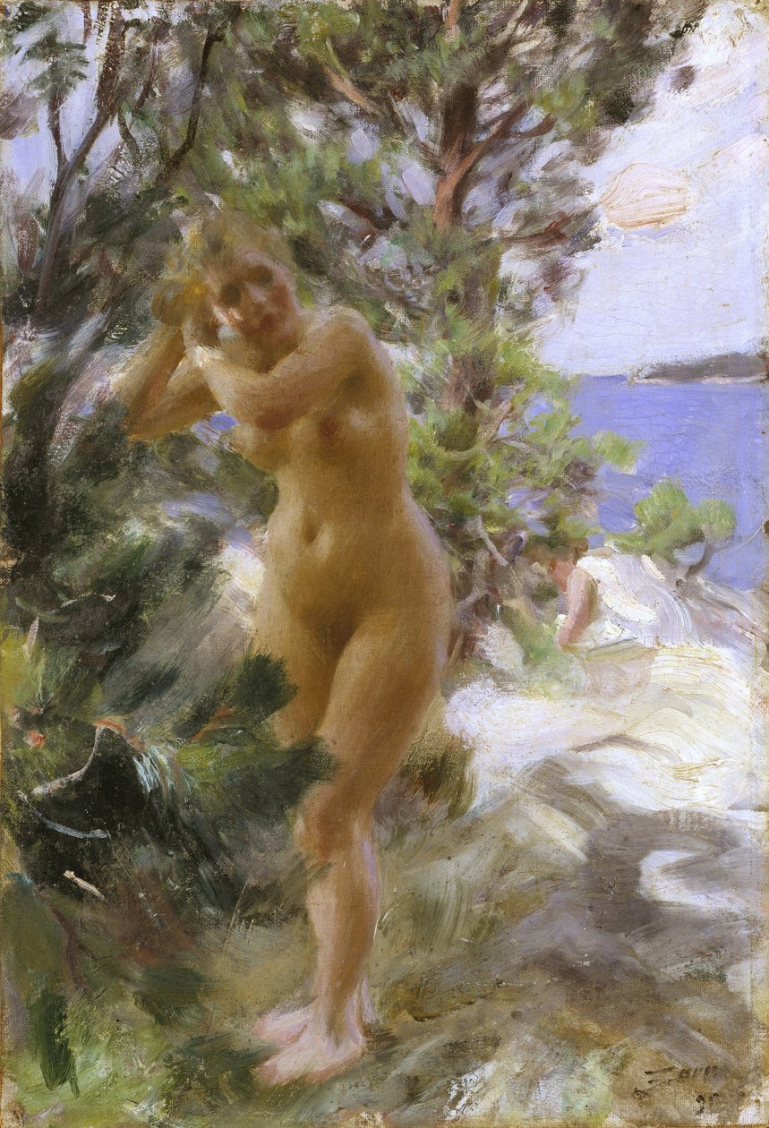 Po koupeli od Anders Leonard Zorn