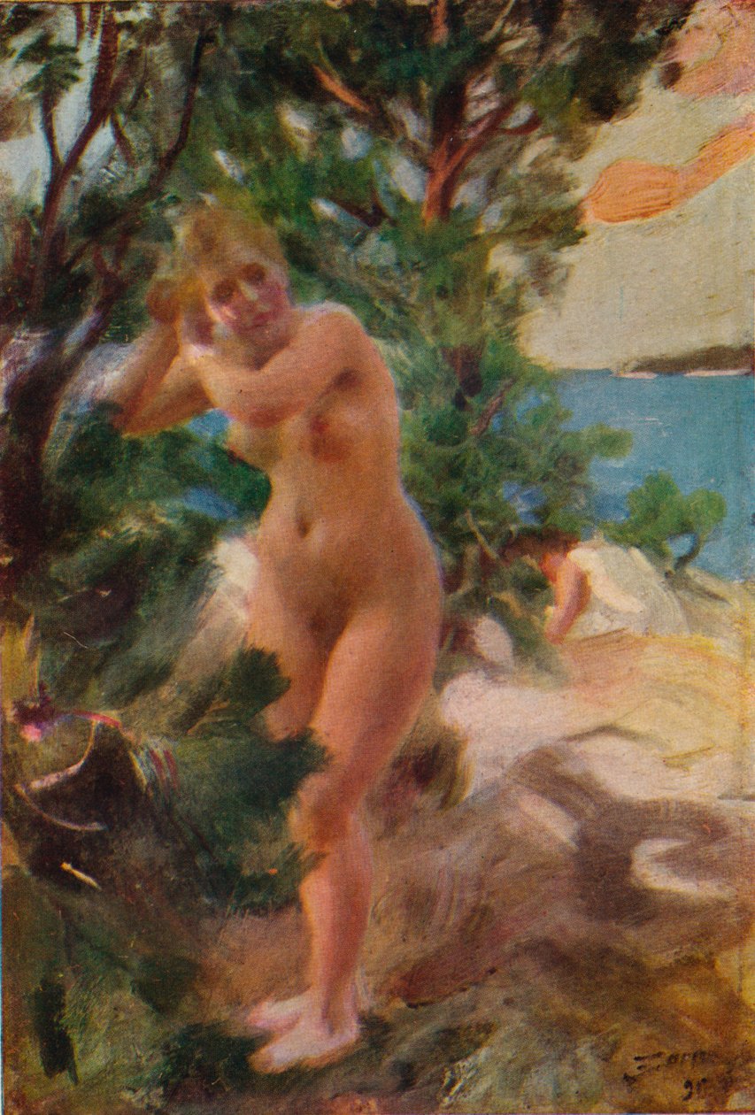 Po koupeli, 1895 od Anders Leonard Zorn