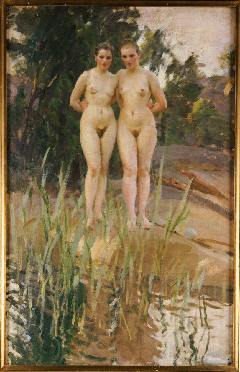 Dva kamarádi od Anders Leonard Zorn