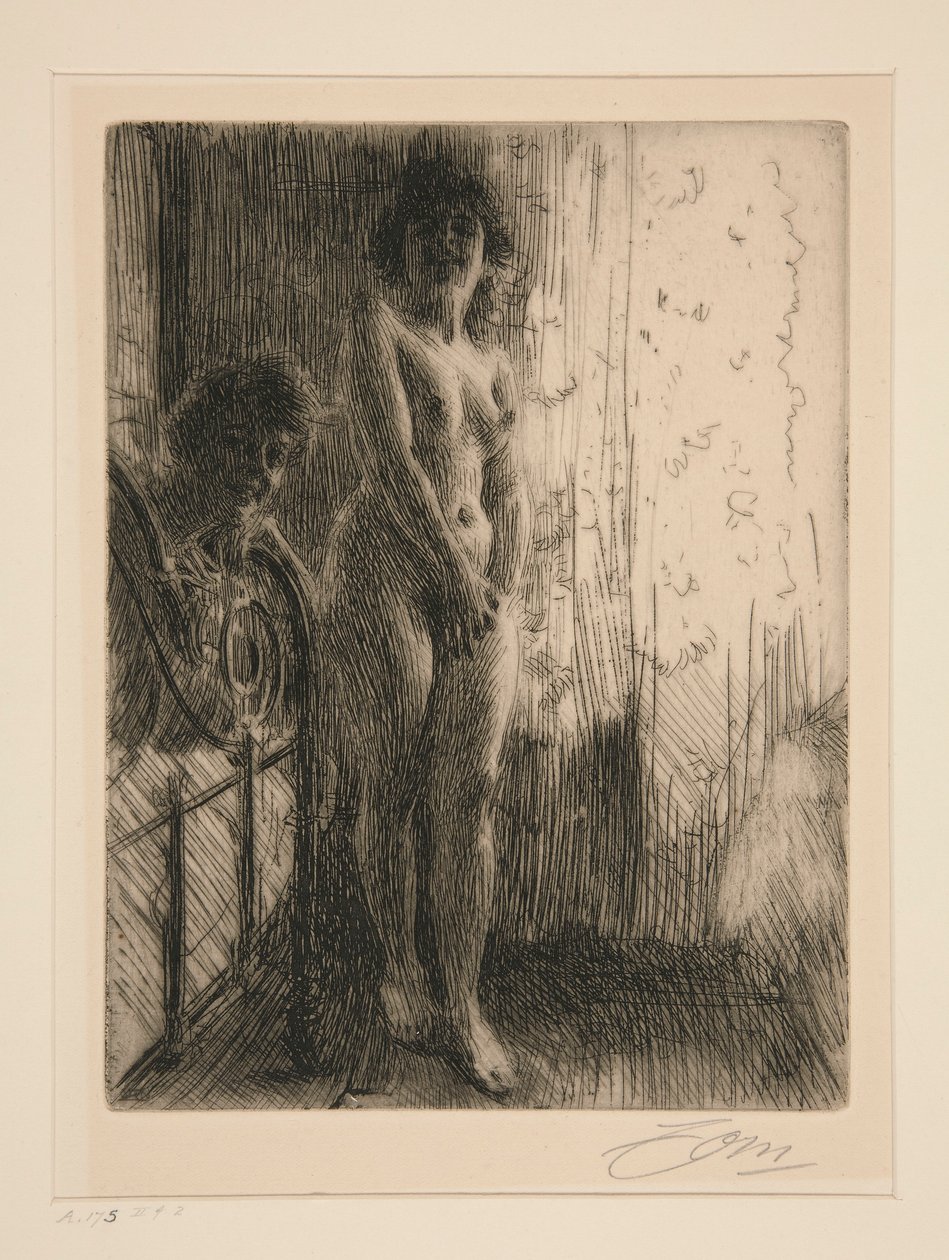 Temný kout od Anders Leonard Zorn