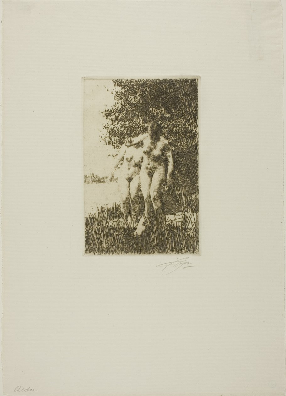 Olše od Anders Leonard Zorn