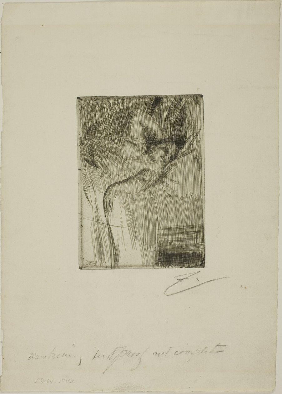 Alarm od Anders Leonard Zorn