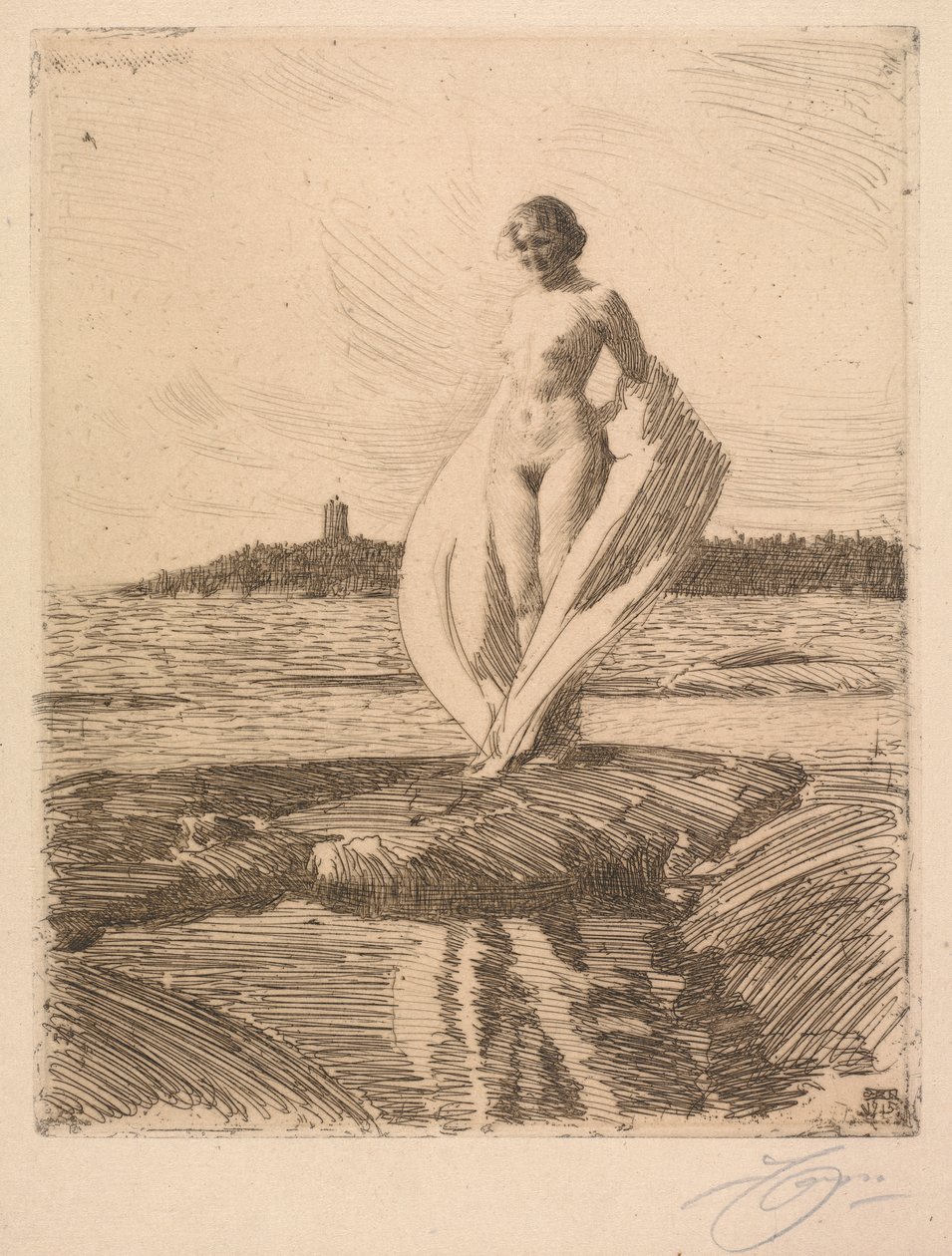 Labuť od Anders Leonard Zorn