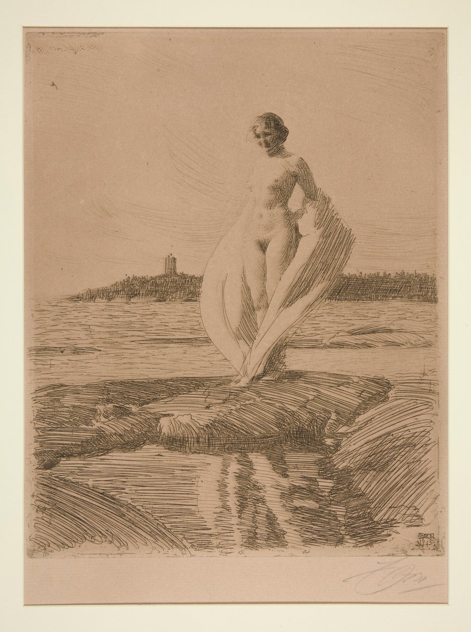 Labuť od Anders Leonard Zorn