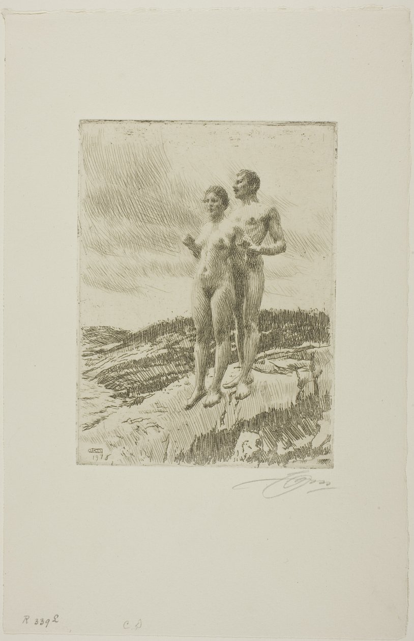 Dva od Anders Leonard Zorn