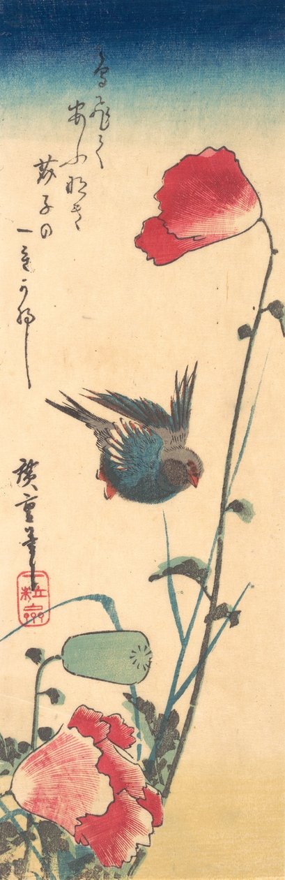 Modrák a máky, 1832-34., 1832-34. od Ando Hiroshige