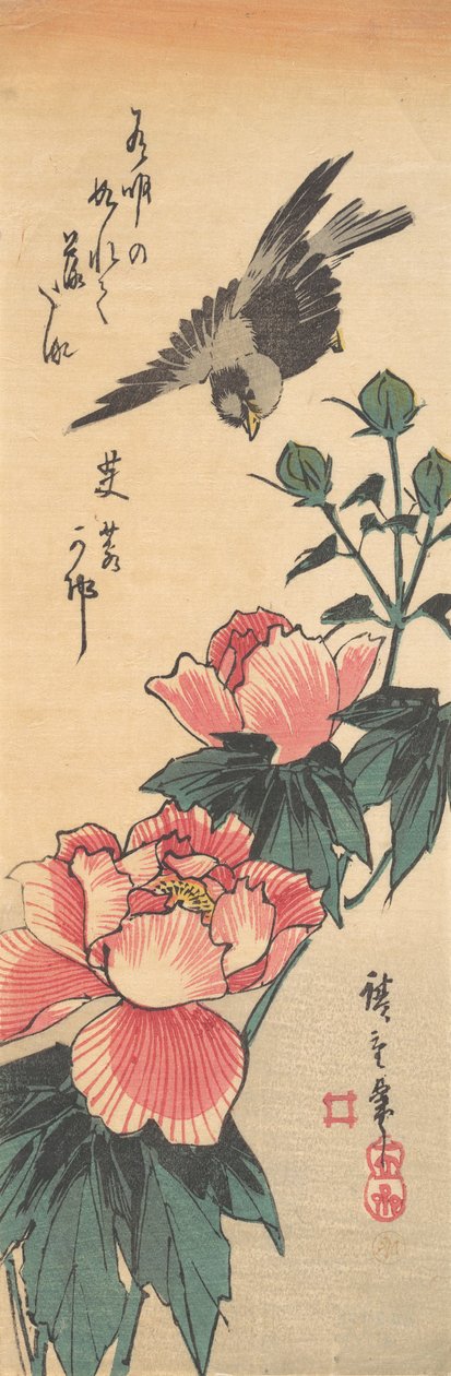 Sparrow a Hibiscus, ca. 1834, ca. 1834. od Ando Hiroshige