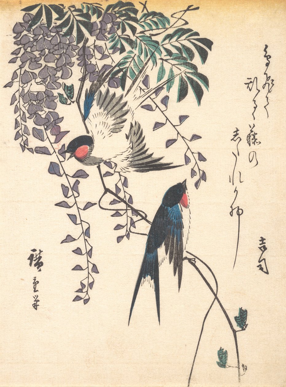 Vlaštovka a Wisteria, polovina 40. let 19. století, polovina 40. let 19. století. od Ando Hiroshige