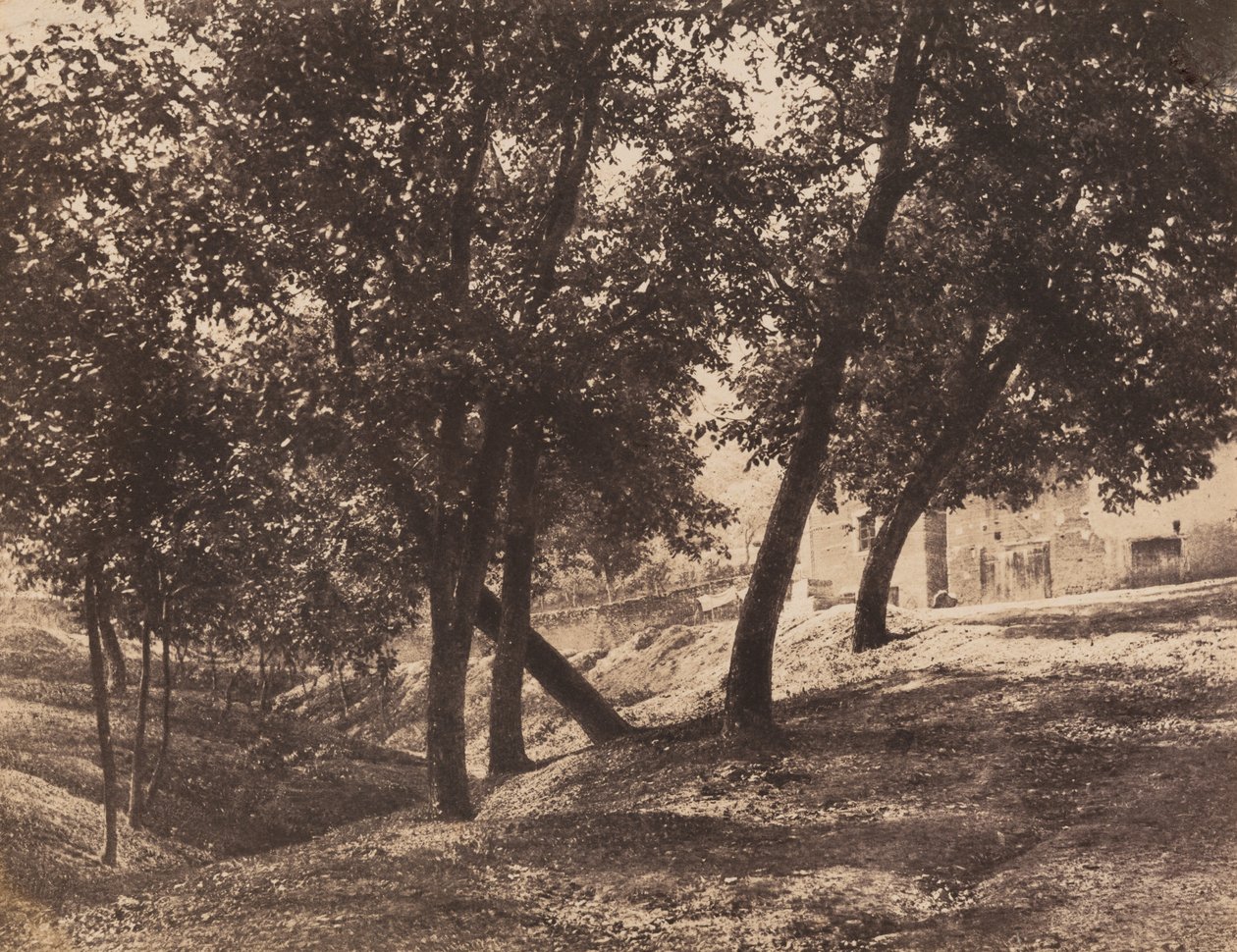 Stromy, c. 1855. od André Giroux