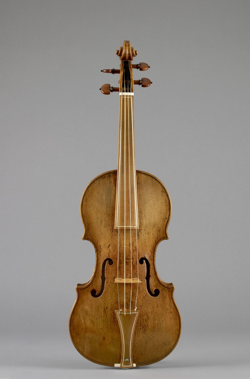 Housle (Karel IX) 1564 (borovice, javor a slonovina) od Andrea Amati