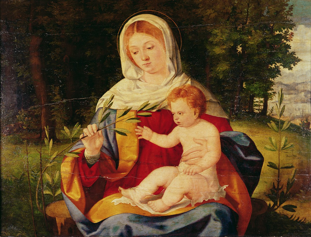 Panna s dítětem a výhonkem olivy, asi 1515 (olej na dřevě) od Andrea Previtali