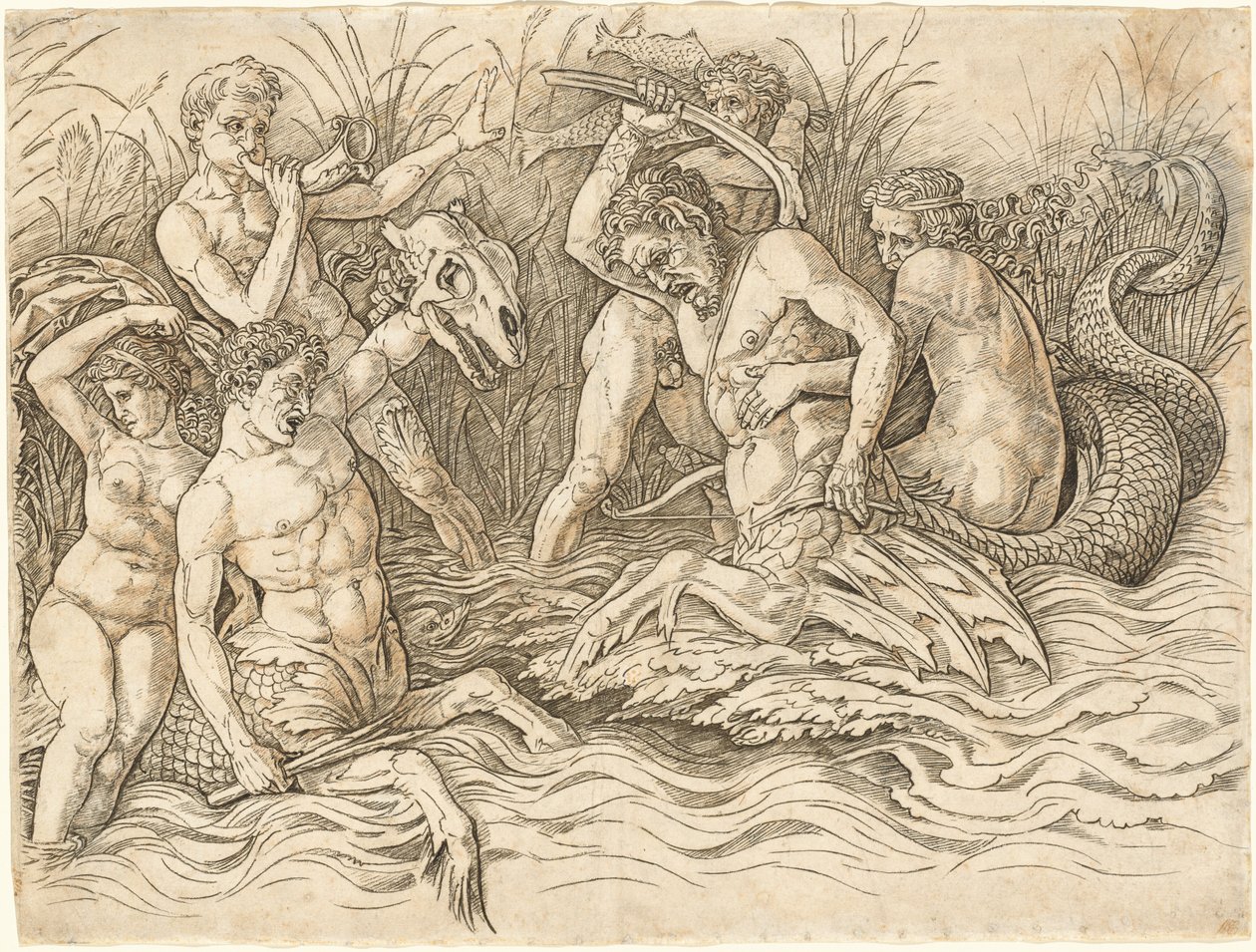 Bitva bohů moře [pravá polovina] od Andrea Mantegna
