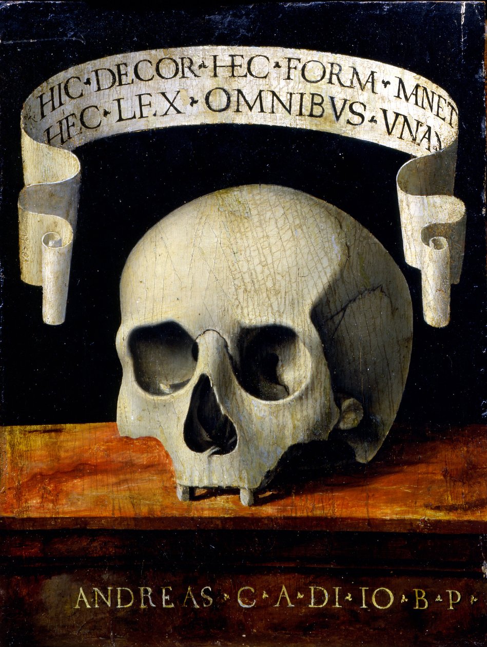 Memento Mori, počátek 16. století. od Andrea Previtali