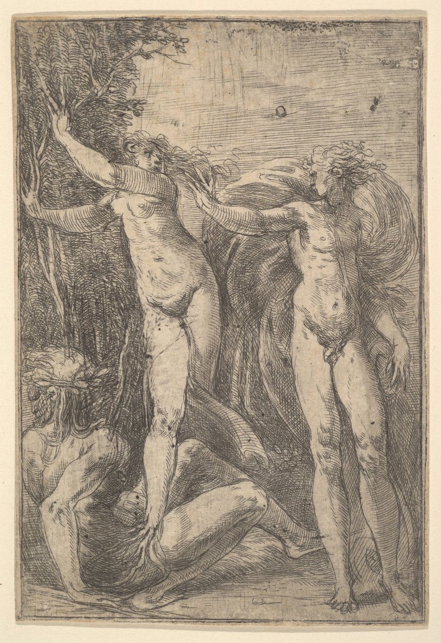 Apollo a Daphne, ca. 1538-40. od Andrea Schiavone