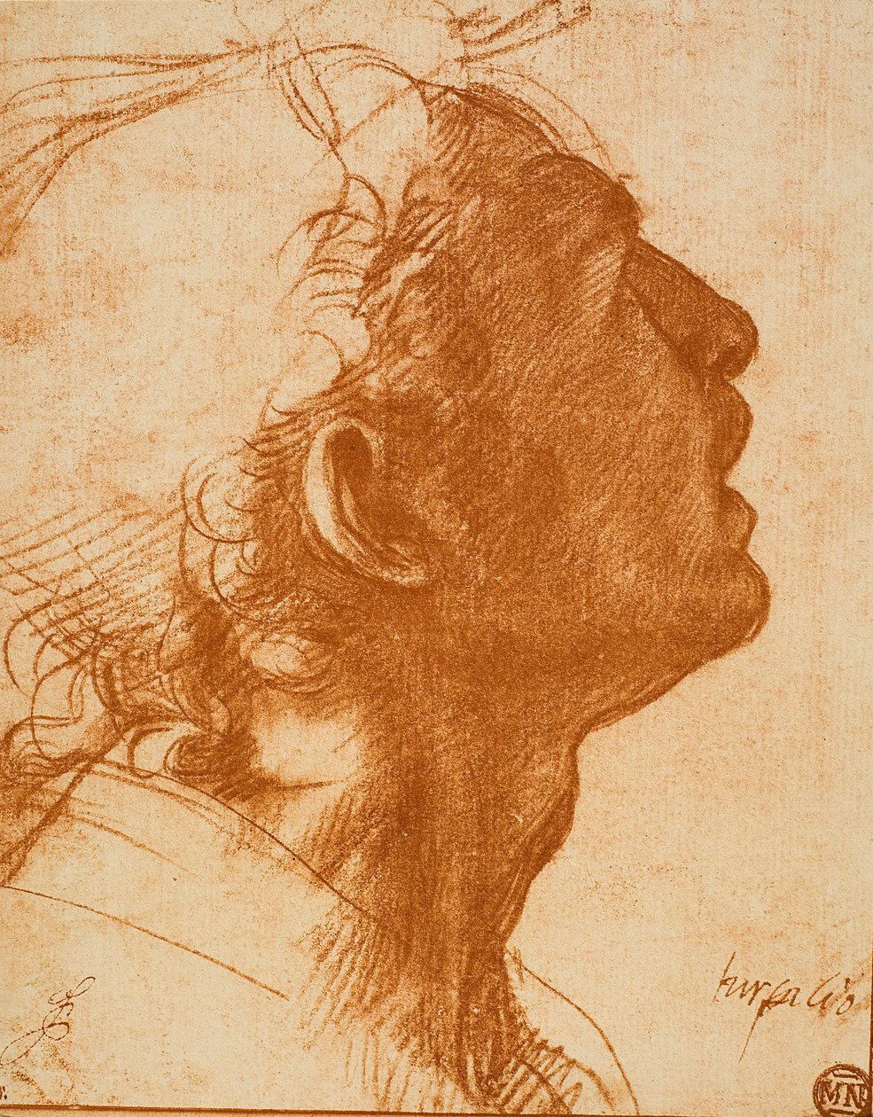 Mužská hlava od Andrea del Sarto